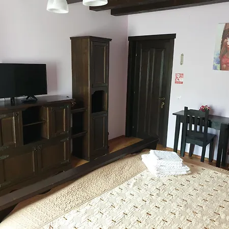 Casa Izvorul Raraului Holiday home *