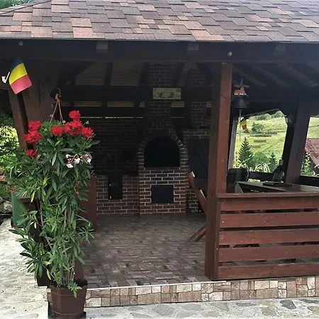 Casa Izvorul Raraului Holiday home